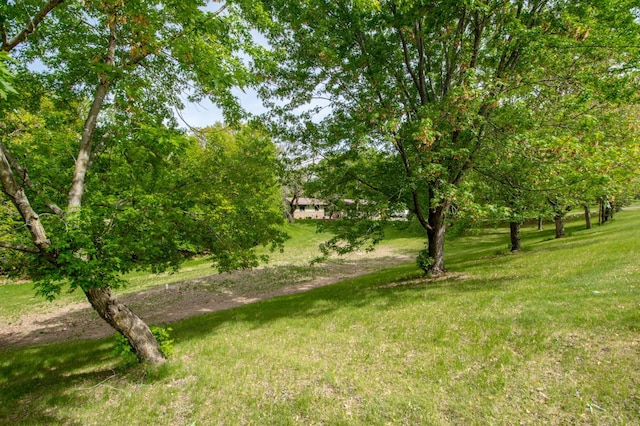 19715 Tyler St NW, Elk River, MN 55330 - view of grassy yard