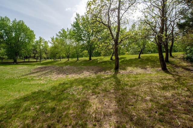 19715 Tyler St NW, Elk River, MN 55330 - view of undeveloped land