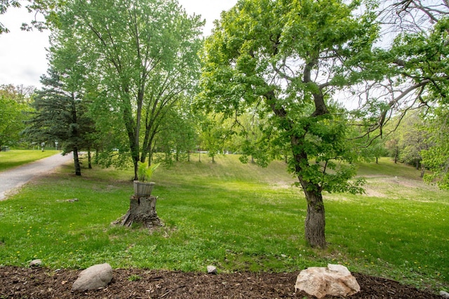 19715 Tyler St NW, Elk River, MN 55330 - view of green lawn