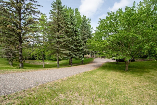 19715 Tyler St NW, Elk River, MN 55330 - view of home's community with a lawn