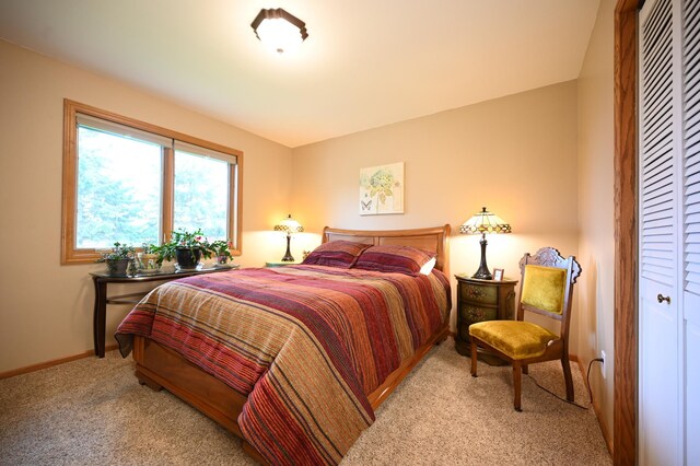 306 Windcrest Ln SE, New Prague, MN 56071 - bedroom with carpet, a closet, and baseboards