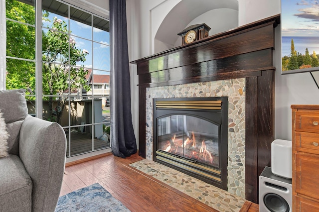 1925 Shenandoah Ct Unit F, Plymouth, MN 55447 - living area featuring wood finished floors, a fireplace, and a water view