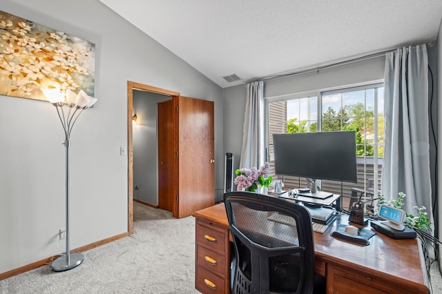 1925 Shenandoah Ct Unit F, Plymouth, MN 55447 - office area with light colored carpet, lofted ceiling, and baseboards