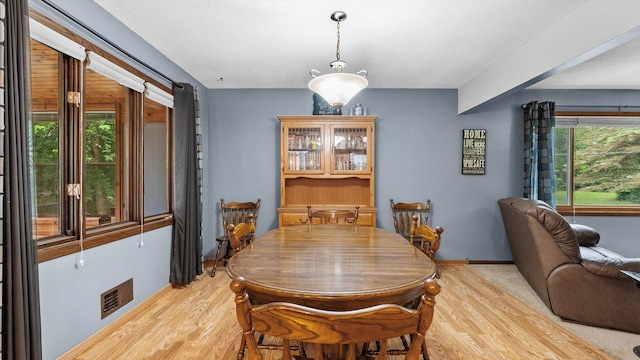 1550 181st Ave NW, Andover, MN 55011 - photo 15