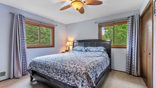 1550 181st Ave NW, Andover, MN 55011 - photo 20
