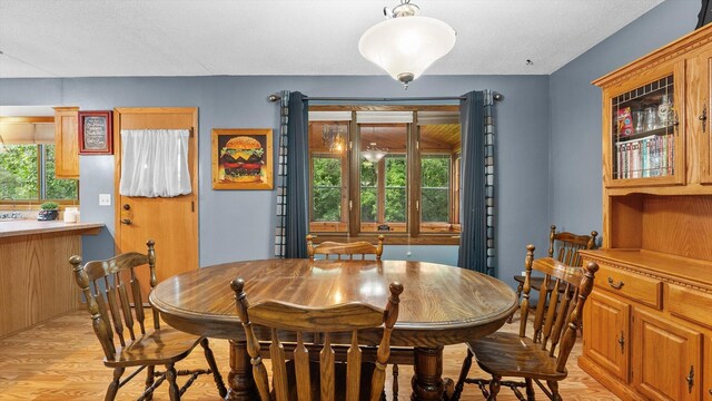 1550 181st Ave NW, Andover, MN 55011 - photo 13