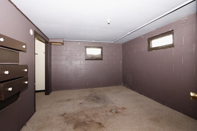 718 1st St SW, Faribault, MN 55021 - below grade area featuring concrete block wall and carpet flooring