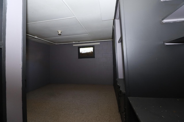 718 1st St SW, Faribault, MN 55021 - finished below grade area featuring carpet and concrete block wall