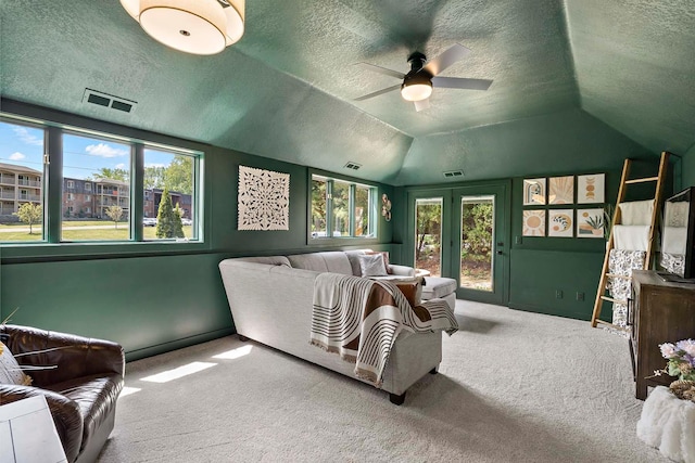 77 Emerson Ave W, West Saint Paul, MN 55118 - cinema with a textured ceiling, carpet floors, healthy amount of natural light, a ceiling fan, and vaulted ceiling