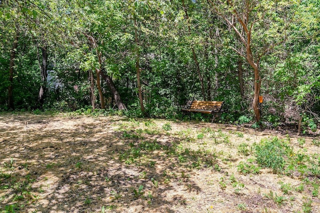 77 Emerson Ave W, West Saint Paul, MN 55118 - view of undeveloped land