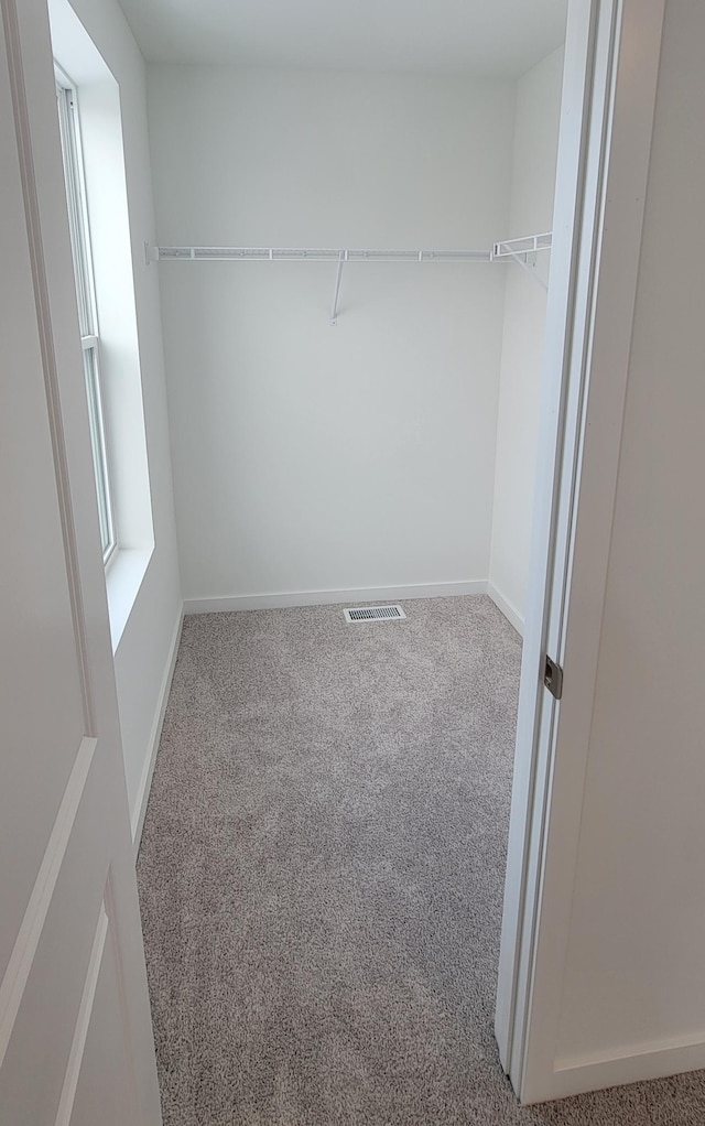 spacious closet featuring carpet flooring