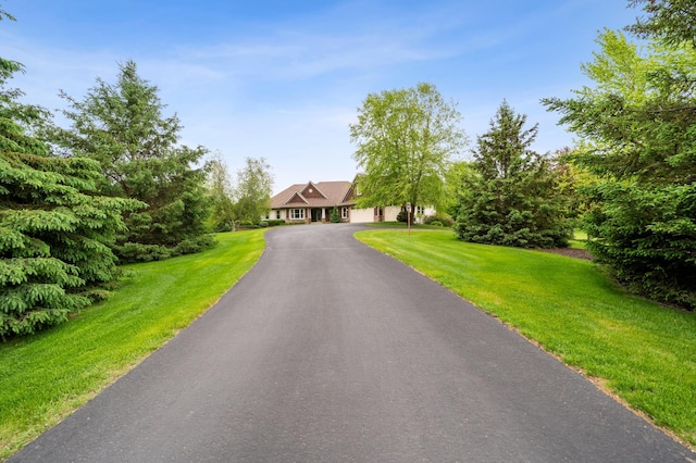 view of front facade featuring driveway and a front lawn