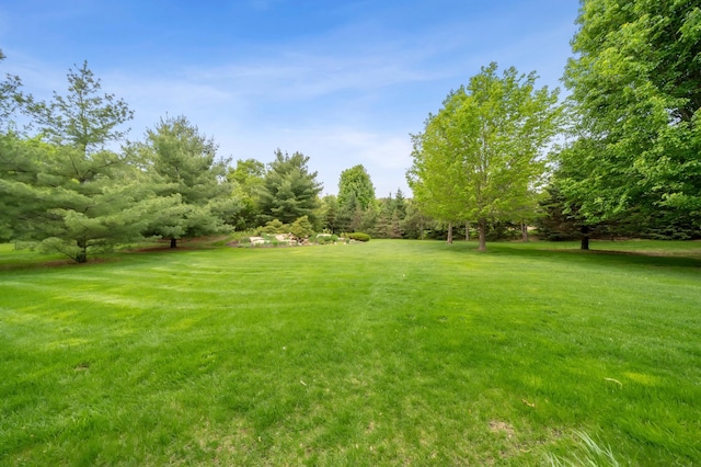 view of grassy yard