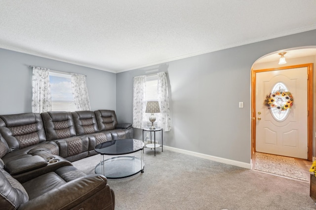 1224 Grotto St N, Saint Paul, MN 55117 - carpeted living room with arched walkways, healthy amount of natural light, ornamental molding, a textured ceiling, and baseboards