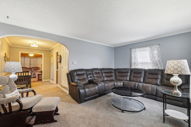1224 Grotto St N, Saint Paul, MN 55117 - living area with arched walkways, light carpet, crown molding, and a textured ceiling