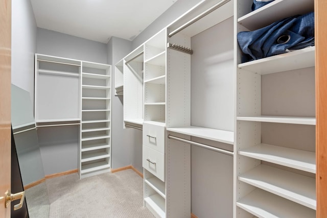 walk in closet with light colored carpet