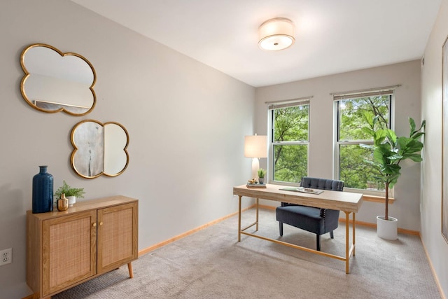 office area featuring baseboards and light carpet