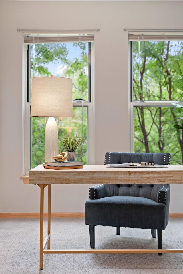 living area featuring carpet flooring, healthy amount of natural light, and baseboards