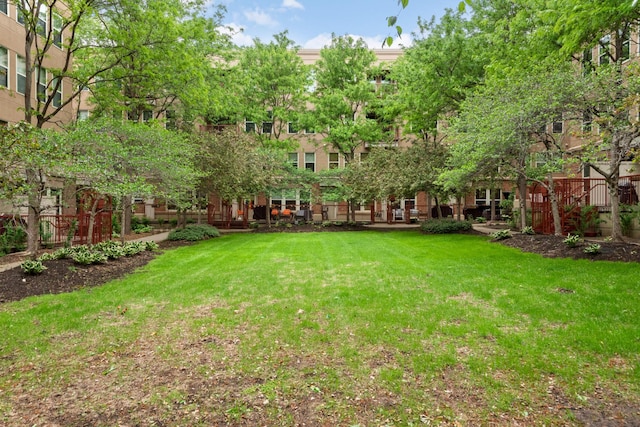 view of green lawn