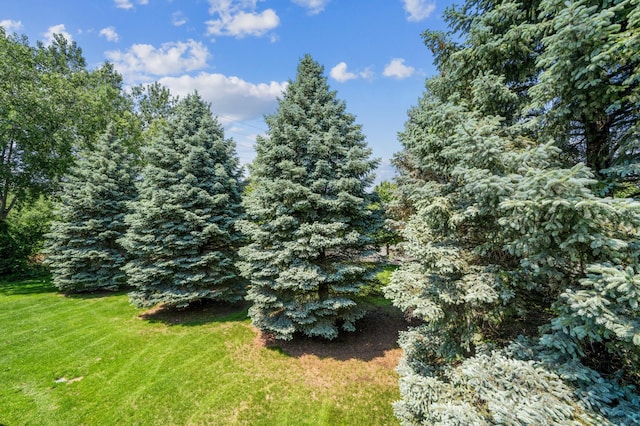 7379 Devin Ln, Shakopee, MN 55379 - view of green lawn