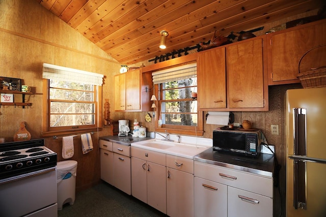 6565 White Pine Ln, Biwabik Twp, MN 55741 - kitchen featuring black microwave, electric stove, lofted ceiling, freestanding refrigerator, and a sink