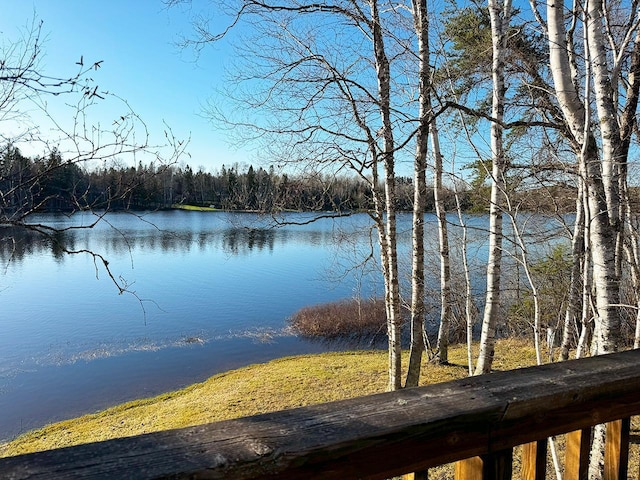 6565 White Pine Ln, Biwabik Twp, MN 55741 - water view with a forest
