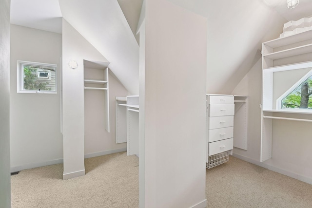 5016 Shady Oak Rd S, Minnetonka, MN 55343 - spacious closet with carpet flooring and lofted ceiling