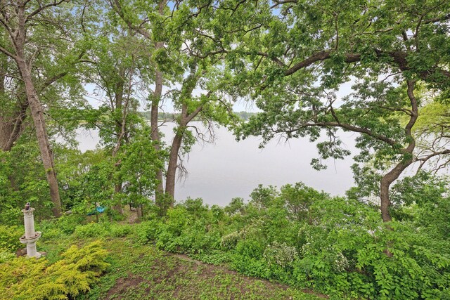 5016 Shady Oak Rd S, Minnetonka, MN 55343 - view of yard