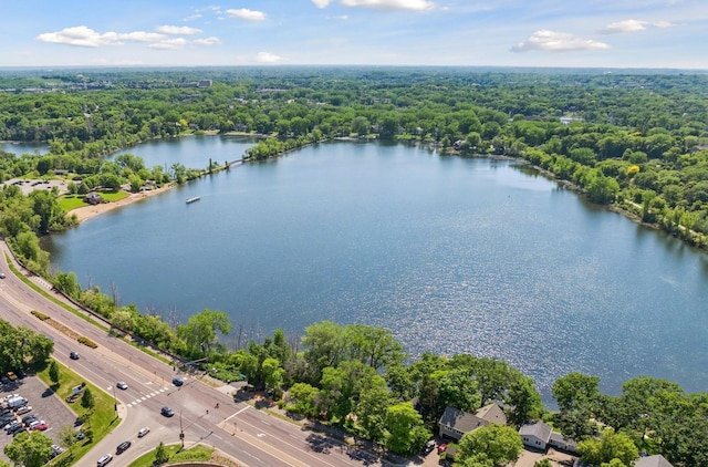 5016 Shady Oak Rd S, Minnetonka, MN 55343 - drone / aerial view of a forest, a large body of water, and a highway