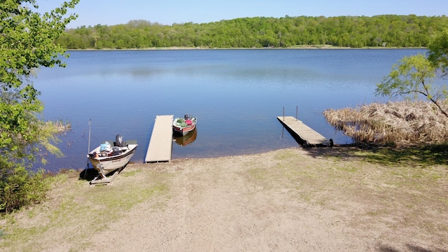 20996 County 96, Little Sauk Twp, MN 56378 - dock with a water view and a wooded view