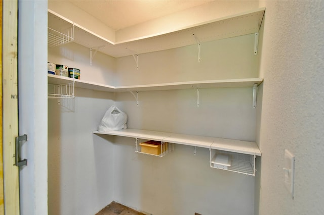 20996 County 96, Little Sauk Twp, MN 56378 - view of spacious closet