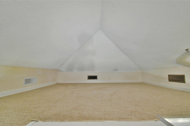 20996 County 96, Little Sauk Twp, MN 56378 - additional living space with lofted ceiling and carpet flooring