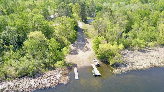 20996 County 96, Little Sauk Twp, MN 56378 - bird's eye view of a nearby body of water and a forest