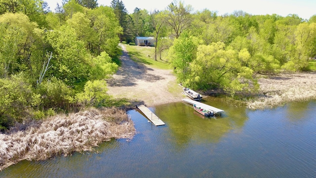 20996 County 96, Little Sauk Twp, MN 56378 - bird's eye view of a large body of water and a forest