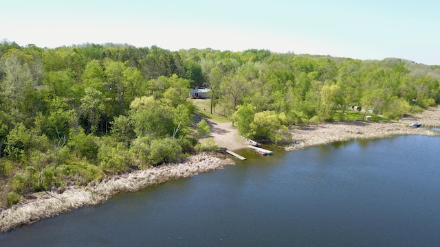 20996 County 96, Little Sauk Twp, MN 56378 - bird's eye view of a forest and a nearby body of water