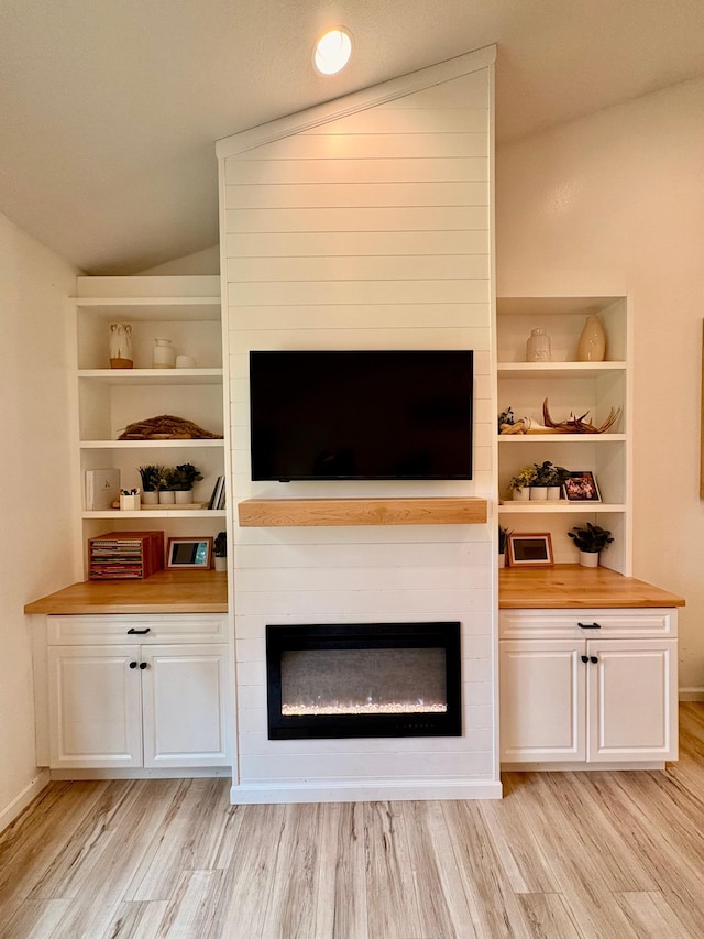 1622 82nd Ave NW, Williams, MN 56686 - detailed view of wood finished floors, a fireplace, and built in features