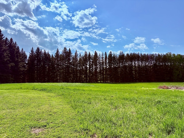 1622 82nd Ave NW, Williams, MN 56686 - view of yard with a wooded view