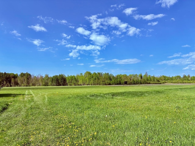 1622 82nd Ave NW, Williams, MN 56686 - view of yard featuring a view of countryside and a forest view