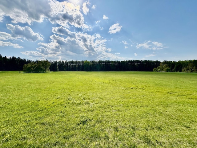 1622 82nd Ave NW, Williams, MN 56686 - view of grassy yard with a forest view and a view of rural / pastoral area
