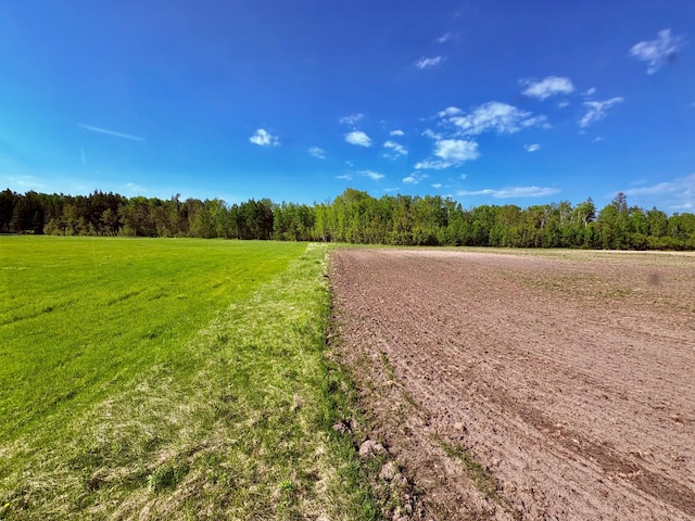 1622 82nd Ave NW, Williams, MN 56686 - view of road with a view of trees and a view of countryside