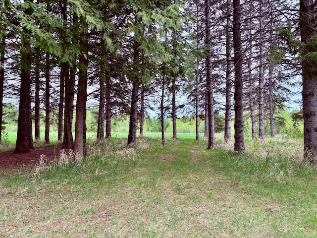 1622 82nd Ave NW, Williams, MN 56686 - view of undeveloped land