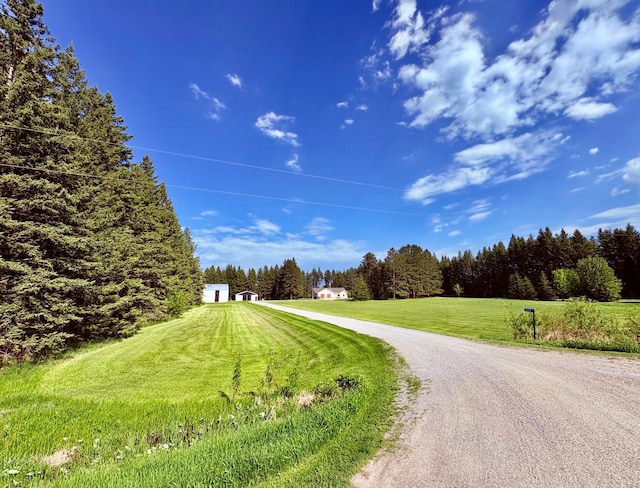 1622 82nd Ave NW, Williams, MN 56686 - view of dirt / gravel road featuring a view of trees