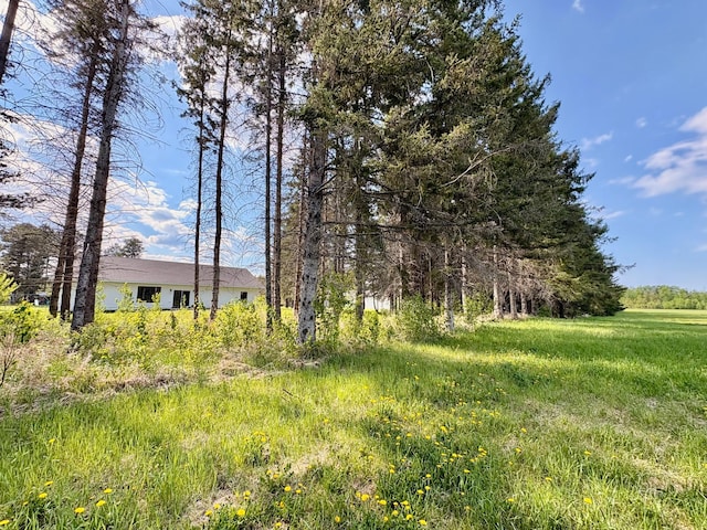1622 82nd Ave NW, Williams, MN 56686 - view of yard