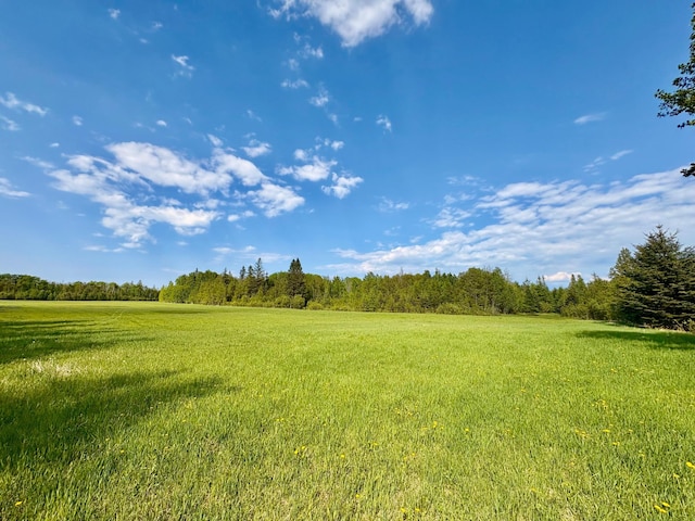 1622 82nd Ave NW, Williams, MN 56686 - view of green lawn with a wooded view