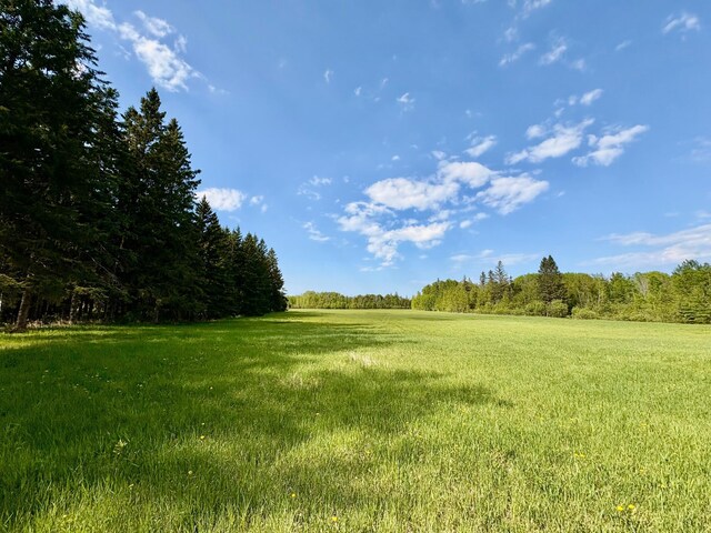 1622 82nd Ave NW, Williams, MN 56686 - view of grassy yard featuring a view of trees