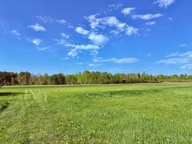 1622 82nd Ave NW, Williams, MN 56686 - view of yard with a view of rural / pastoral area and a wooded view