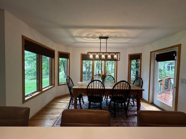 15224 Swallow St NW, Andover, MN 55304 - dining space featuring light wood-style floors