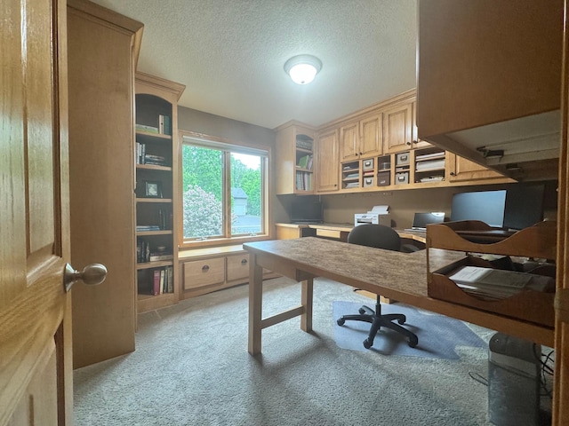15224 Swallow St NW, Andover, MN 55304 - home office with light colored carpet and a textured ceiling