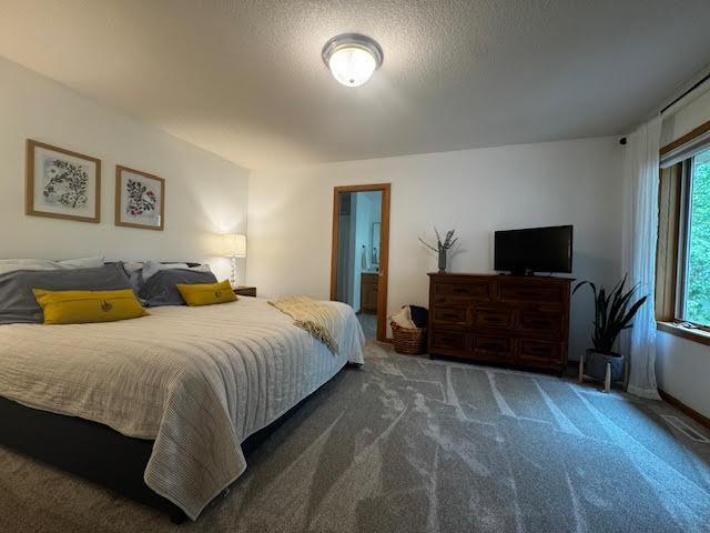 15224 Swallow St NW, Andover, MN 55304 - bedroom featuring carpet floors