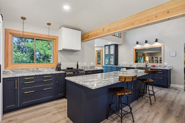 16905 Jalisco Ter W, Lakeville, MN 55044 - kitchen with a kitchen breakfast bar, light wood finished floors, plenty of natural light, and recessed lighting